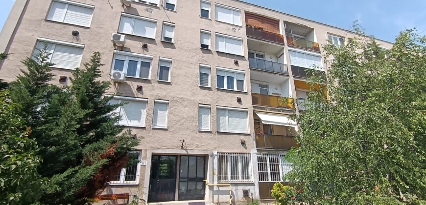 Szolnok, Puskás Tivadar körút – ELADVA!
