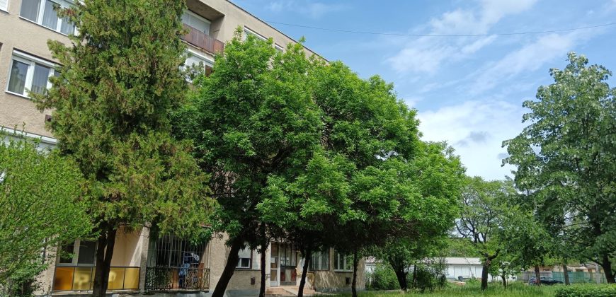 Szolnok, Wágner Gusztáv utca