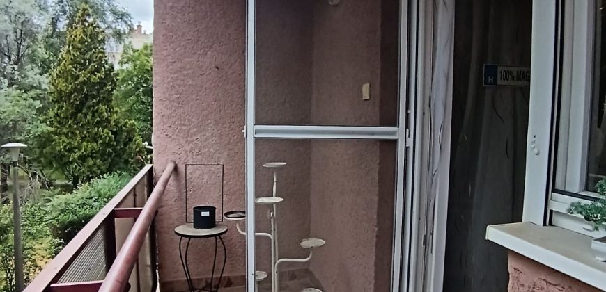 Szolnok, Wágner Gusztáv utca
