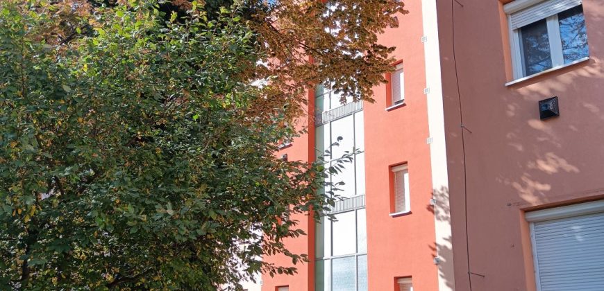 Szolnok, Vitéz Szathmári József utca