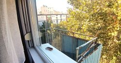 Szolnok, Vitéz Szathmári József utca